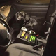 Illustration for article titled Lost Dog Sneaks Into Cop Car For A Free Ride Home